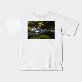 Taggerty Cascades #3 Kids T-Shirt